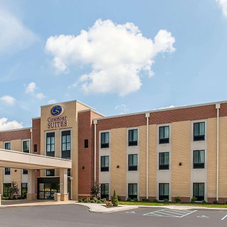 Comfort Suites Rensselaer Near Fair Oaks Kültér fotó