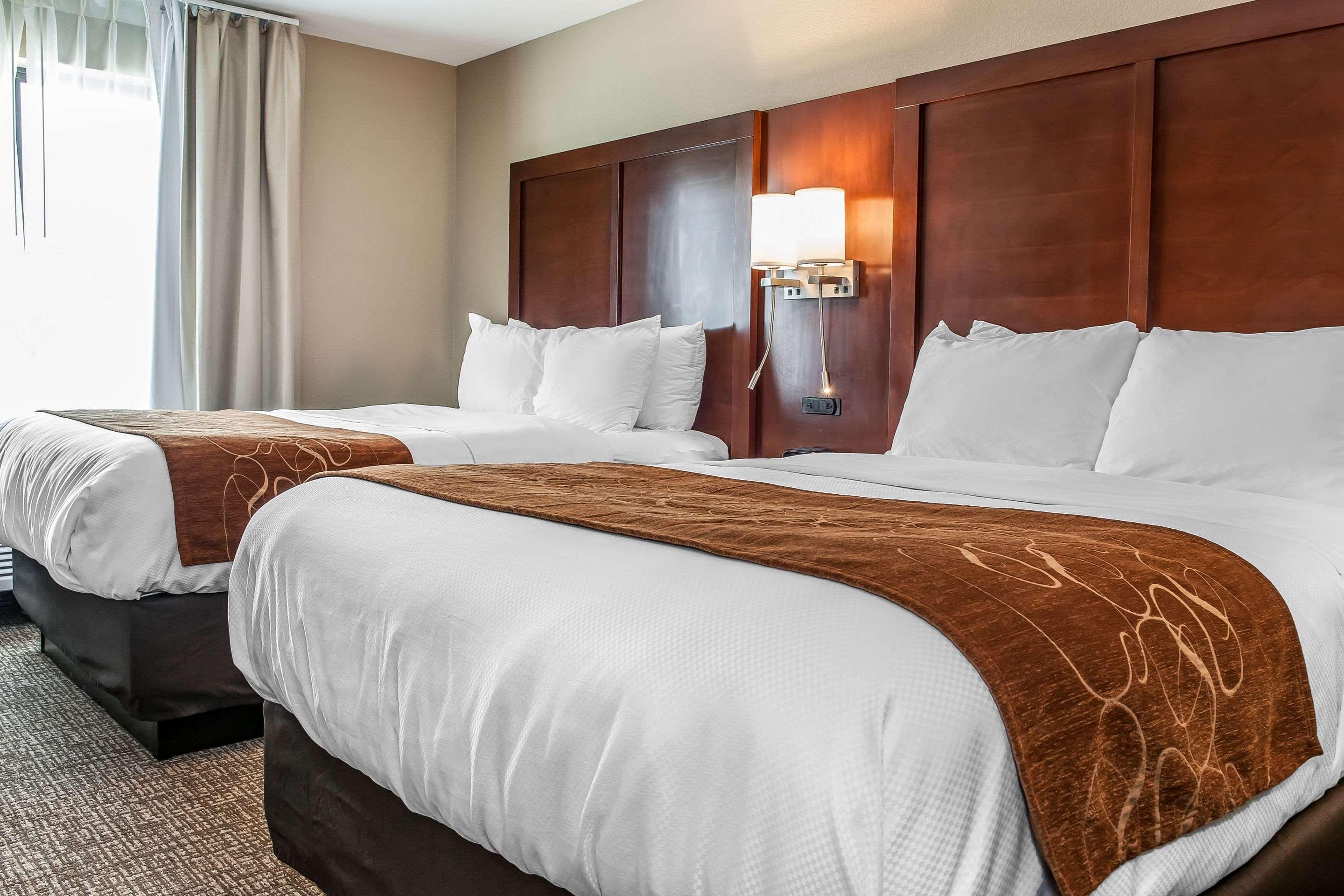 Comfort Suites Rensselaer Near Fair Oaks Kültér fotó